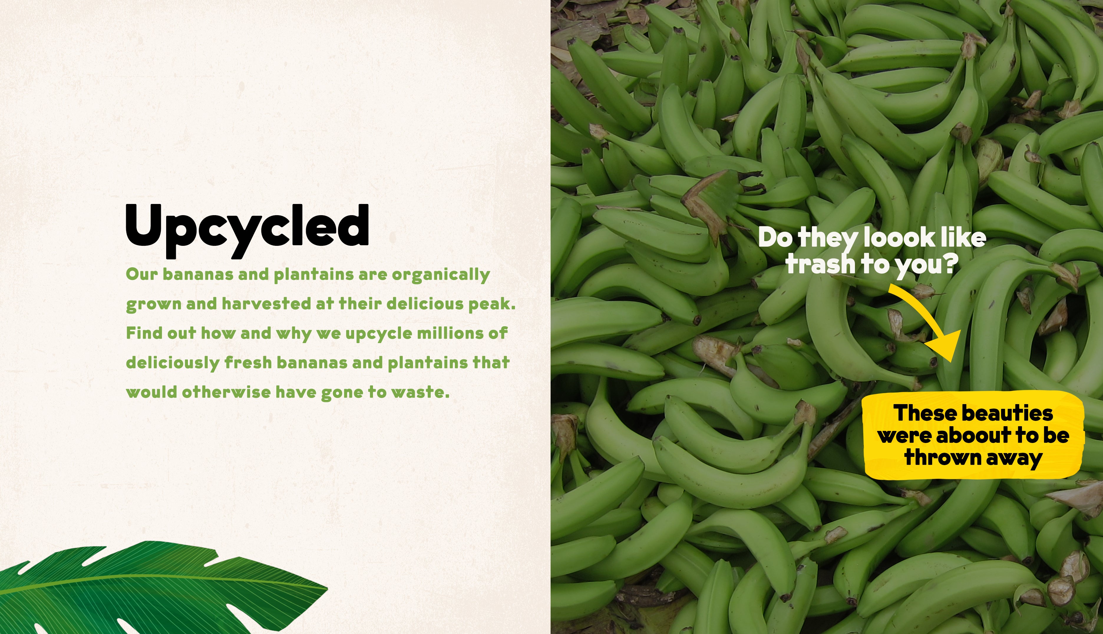 What The Heck Is Upcycling?