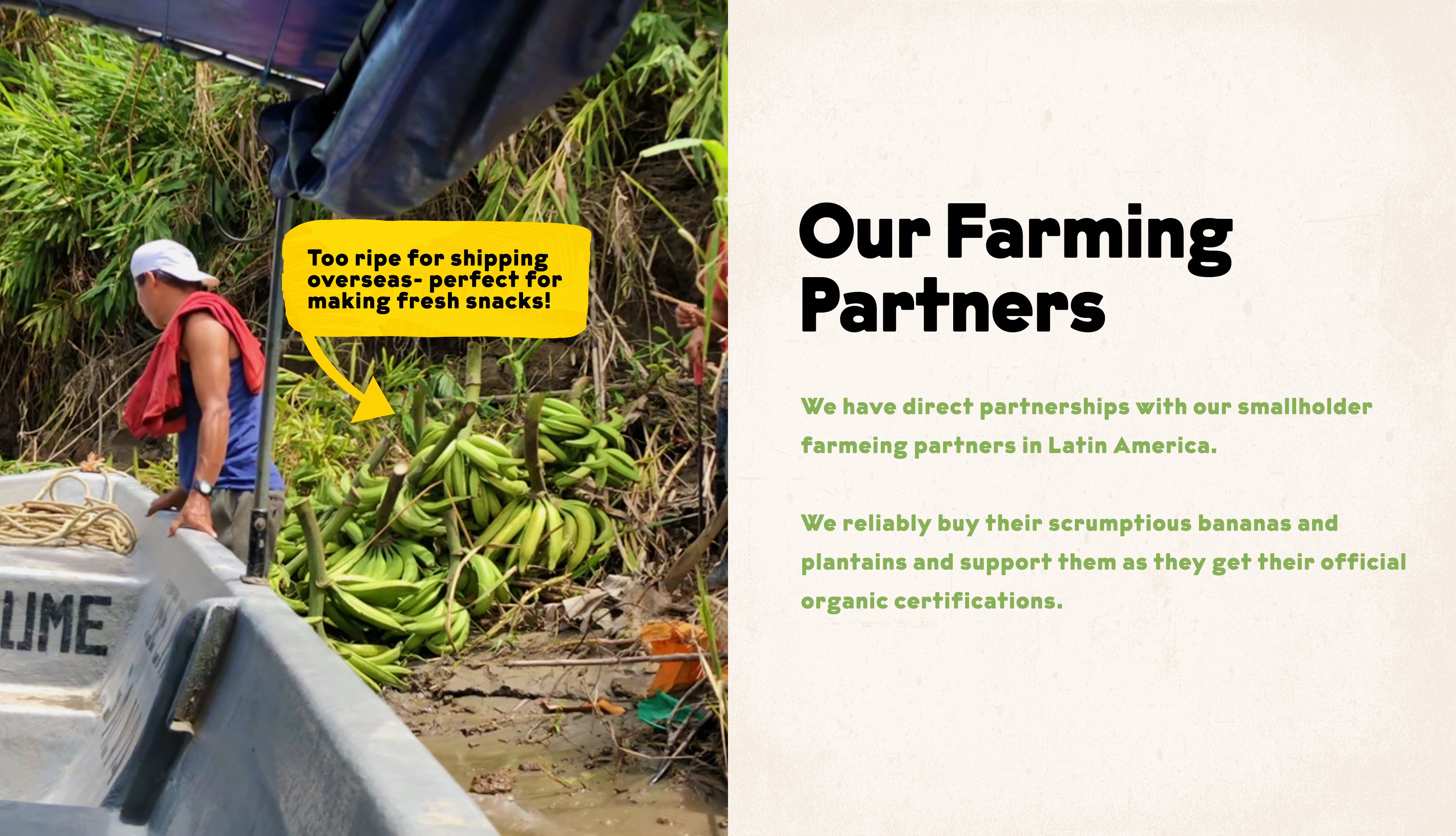 Farm-To-Shelf Supply Chain