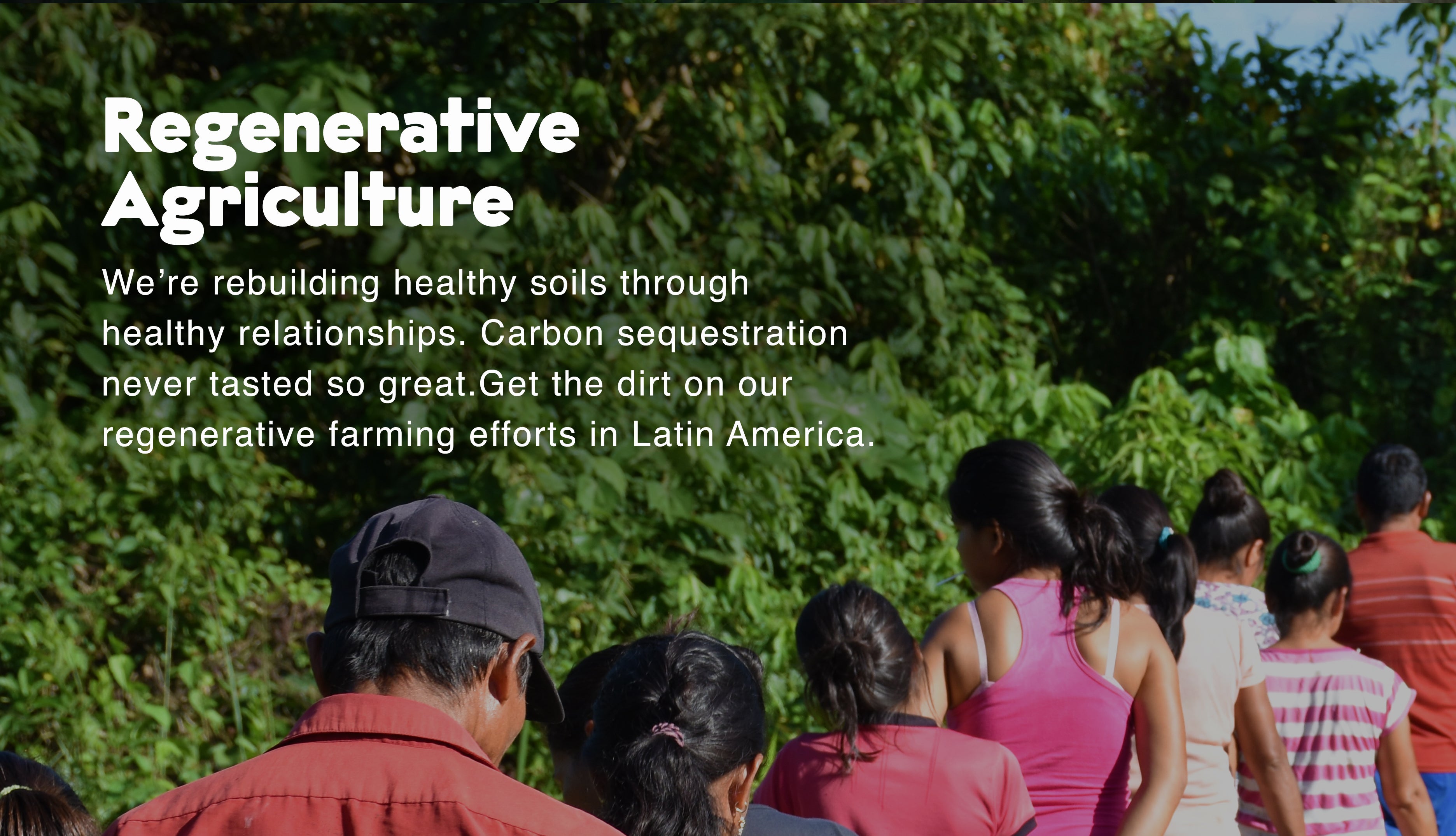 REGENERATIVE AGRICULTURE: WHY CARE?