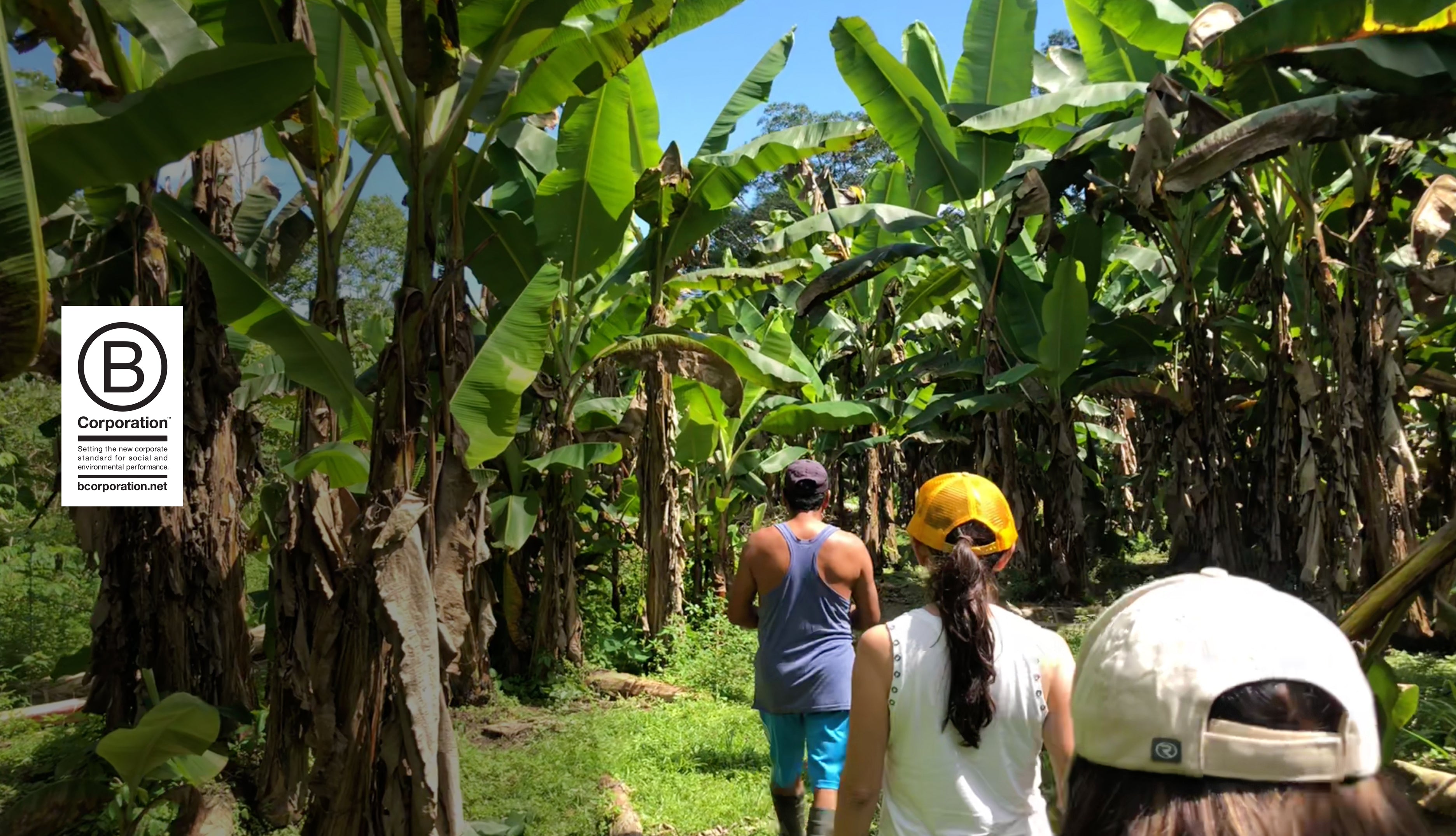 Protecting People & The Planet