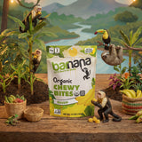 Organic Chewy Banana Bites 3.5oz (6-Pack)