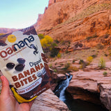 Dipped Chocolate Banana Bites 1.4oz. (12-Pack)